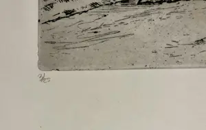 Adri Dijkhorst - Noord Spaanse kust kopen? Bied vanaf 50!