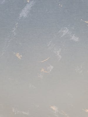 Harrie Gerritz - Balans in de natuur kopen? Bied vanaf 20!