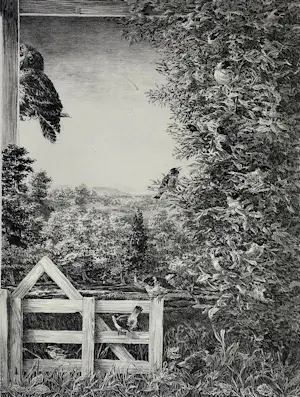 Peter Vos - Ingelijste gedetailleerde ets: Landschap met hek, div zangvogels/uil - 1990 kopen? Bied vanaf 299!