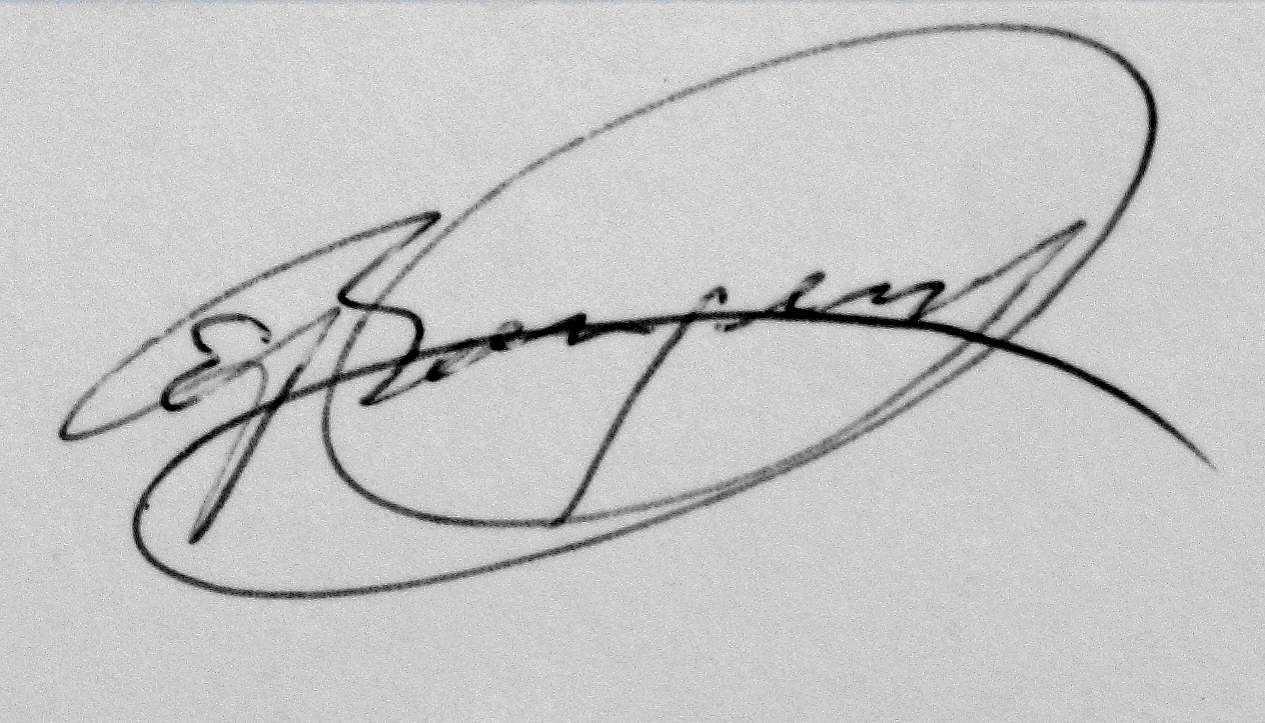 Evert Bongers - Mona Lisa 1 kopen? Bied vanaf 350!