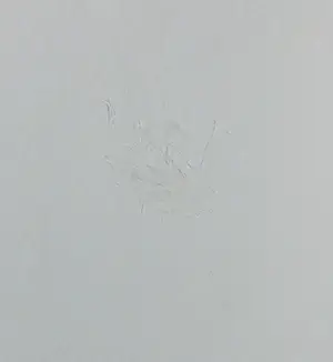 Anton Rooskens - Litho, geen titel - Ingelijst kopen? Bied vanaf 250!