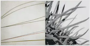 Paul Versteeg - Proactiviteit kopen? Bied vanaf 40!