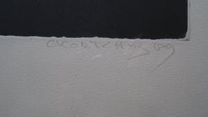 Cees Kortlang - Handgesigneerde kleurenets “Learning to fly” (1989) 7 /50 in metalen lijst kopen? Bied vanaf 75!