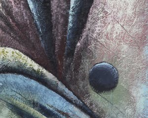 Niet of onleesbaar gesigneerd - Harry Belong kopen? Bied vanaf 10!