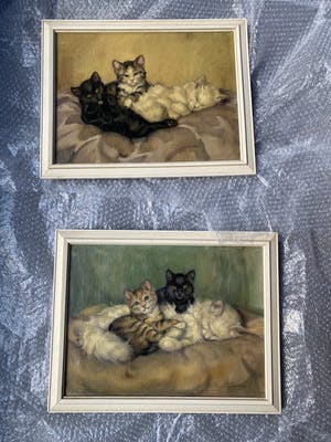 De Ruys-Tydeman - Poezen kopen? Bied vanaf 450!