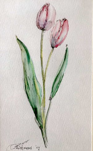 Aart van Woensel - Tulpen - Aquarel, Ingelijst kopen? Bied vanaf 25!