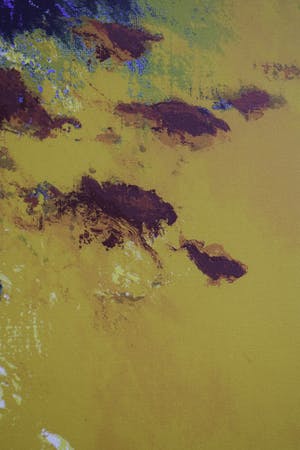 Mattie Schilders - Vormende hand van evolutie - Ingelijst - Groot kopen? Bied vanaf 50!