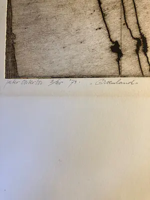 Peter Oosterbos - Groenland kopen? Bied vanaf 20!