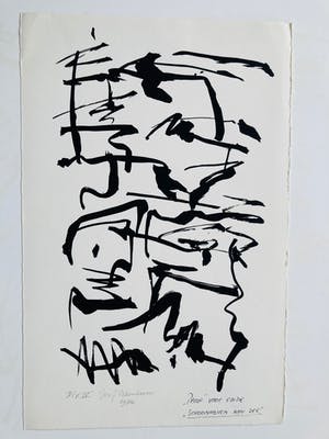 Jan Schoonhoven - Schoonhoven aan zee (proef editie) kopen? Bied vanaf 825!