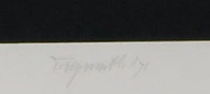 Alphons Freijmuth - Zeefdruk, Zonder titel - Ingelijst kopen? Bied vanaf 80!