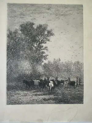 Niet of onleesbaar gesigneerd - 10 diverse etsen Landschap oa Matthes v.Leusden Vrolijk Heyning kopen? Bied vanaf 1!