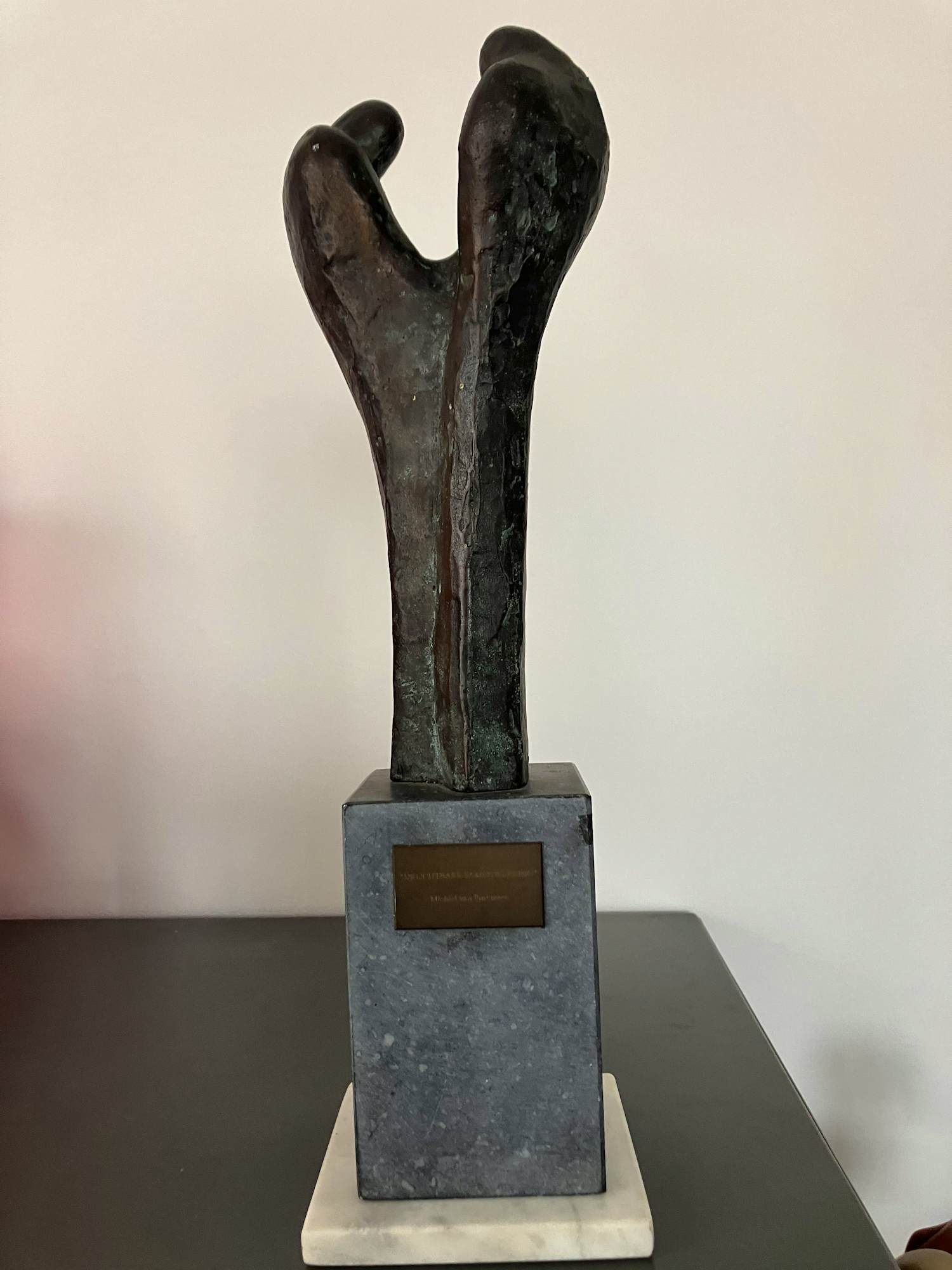 Michiel van Pinxteren - Vruchtbare samenwerking kopen? Bied vanaf 399!