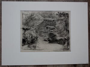 Gerrit Willem Dijsselhof - Tekening: Vissen in aquarium kopen? Bied vanaf 225!