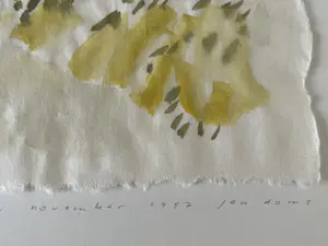 Jan Doms - TWEE AQUARELLEN kopen? Bied vanaf 49!