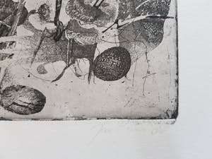 Jan Prins - Prachtige Ets - Gesigneerd in potlood kopen? Bied vanaf 1!