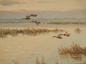 Gien Brouwer - Plasgezicht met vliegende eenden in avondrood kopen? Bied vanaf 235!