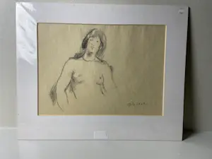 Harry op de Laak - vrouwelijk naakt kopen? Bied vanaf 45!