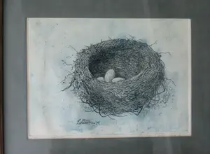 Eugene Peters - (1946) Merelnest kopen? Bied vanaf 1!