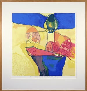 Henk van Vessem - Bronstige Bron - gesigneerd - 125 ex. - ingelijst kopen? Bied vanaf 1!
