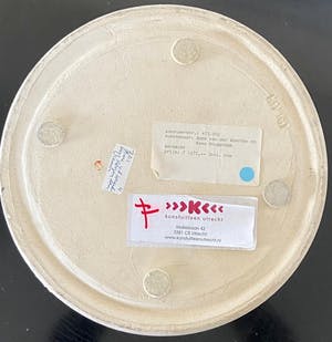 Anne van der Waerden - grote vaasvorm kopen? Bied vanaf 100!