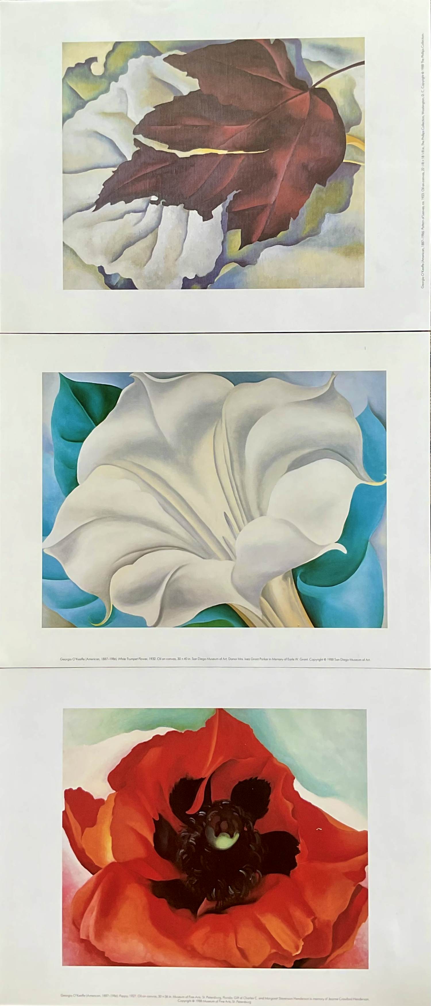 Georgia O’Keeffe - Set van drie prints,Klaproos,Trompetbloem en Bladeren Patroon kopen? Bied vanaf 30!