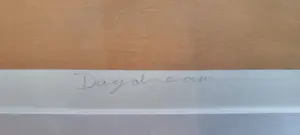 Donna Corbani - Daydream kopen? Bied vanaf 35!