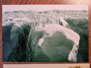 Mieke Bijleveld - set van 6 foto's kopen? Bied vanaf 25!