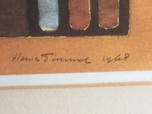 Hans Timmer - Twee kippen kopen? Bied vanaf 70!