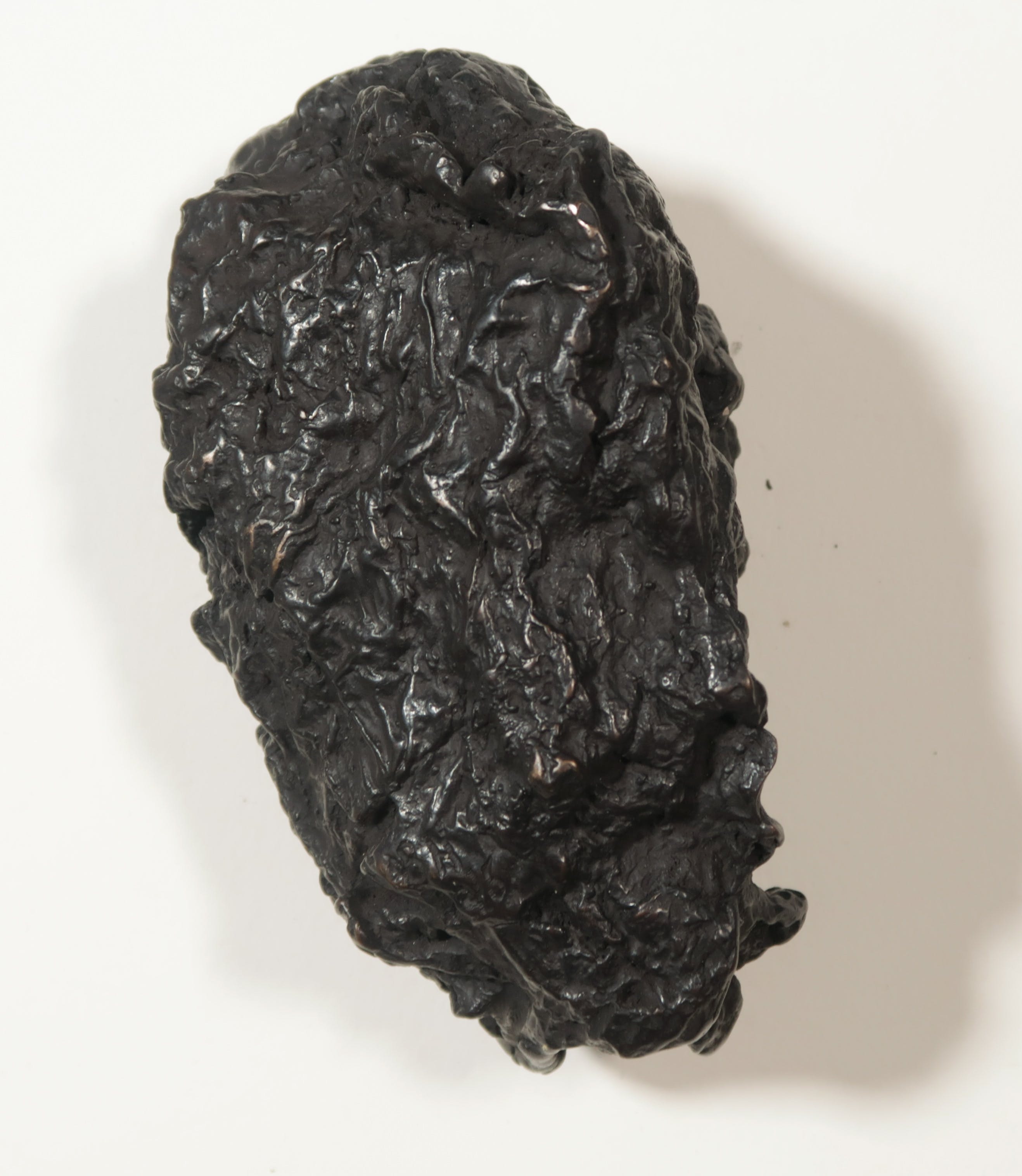 Berend Hoekstra - Brons, Een nomade kopen? Bied vanaf 1!