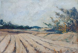 Peter van den Braken - Landschap kopen? Bied vanaf 125!