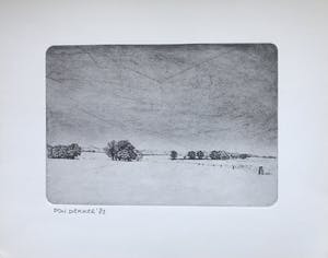 Don Englander - Het Twentse Landschap kopen? Bied vanaf 50!