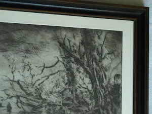 Wim Steijn - Ingelijste ets , Bos bij Haarlem – 1974 – Lijst, 37½ x 45½ cm. kopen? Bied vanaf 60!