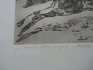 David Granaat - Ets: paarden (Mustangs) kopen? Bied vanaf 49!