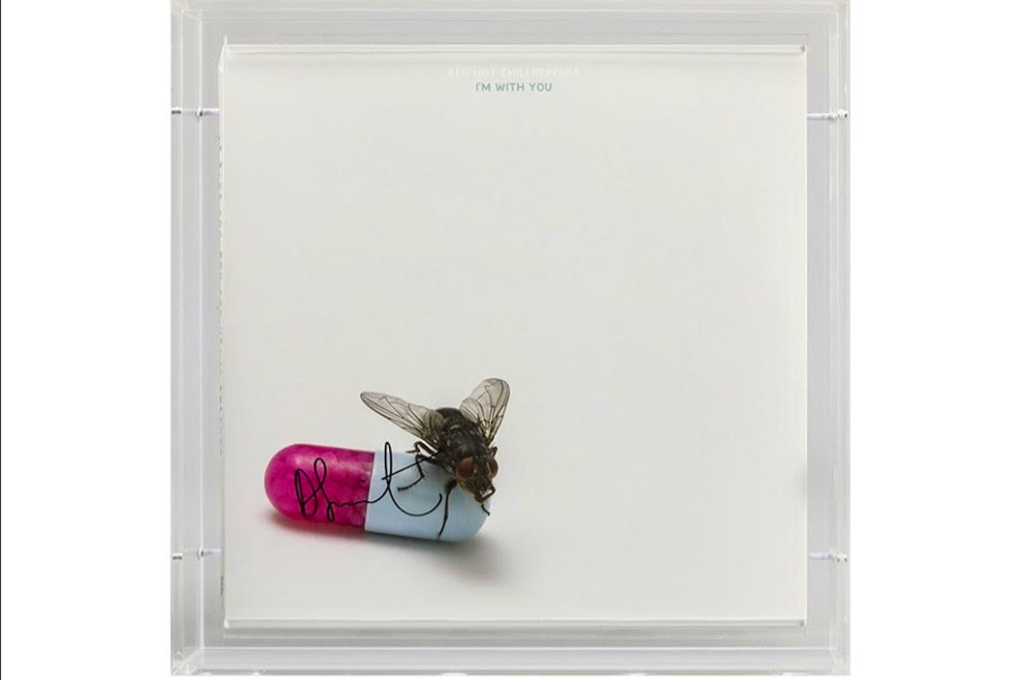 Damien Hirst - Gesigneerde albumhoes Red Hot Chili Peppers door Damien Hirst kopen? Bied vanaf 1200!