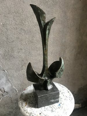 Rien Goene - Groei kopen? Bied vanaf 1450!