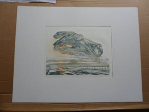 Lies Verdenius - Litho. Titel, "Verbrande vingers". uit 1979 kopen? Bied vanaf 20!
