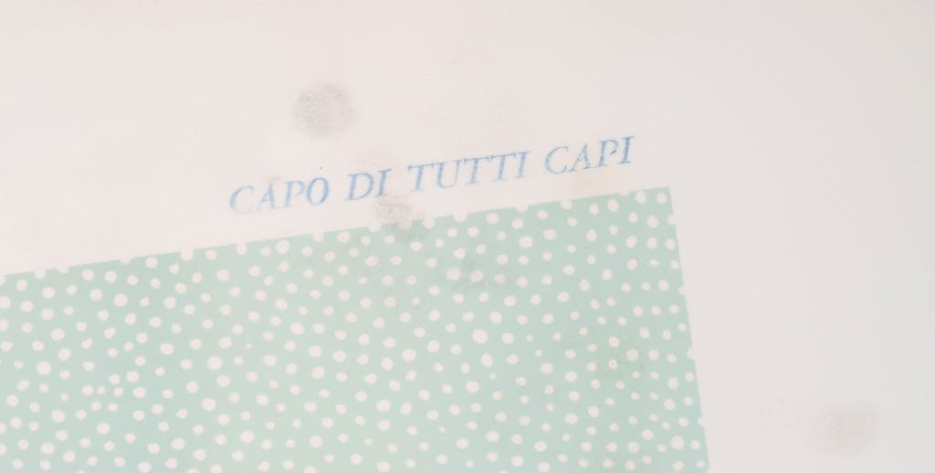 Woody van Amen - Zeefdruk, Capo di tutti kopen? Bied vanaf 1!