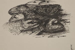 Melle Oldeboerrigter - Inkttekening op geschept papier, Vissen kopen? Bied vanaf 100!