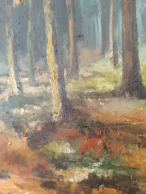 Hugo Van Peer - Bosweg herfst kopen? Bied vanaf 45!