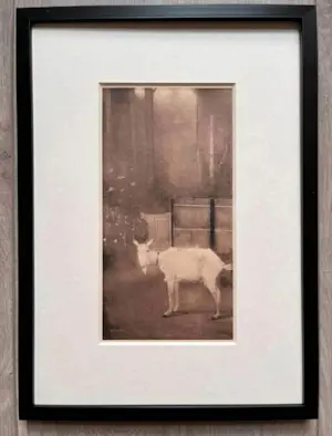 Jan Mankes - Originele Heliogravure Oude Geit 1923 kopen? Bied vanaf 165!