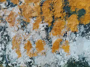 Gerard Strik - Zonder Titel (Groot) kopen? Bied vanaf 390!