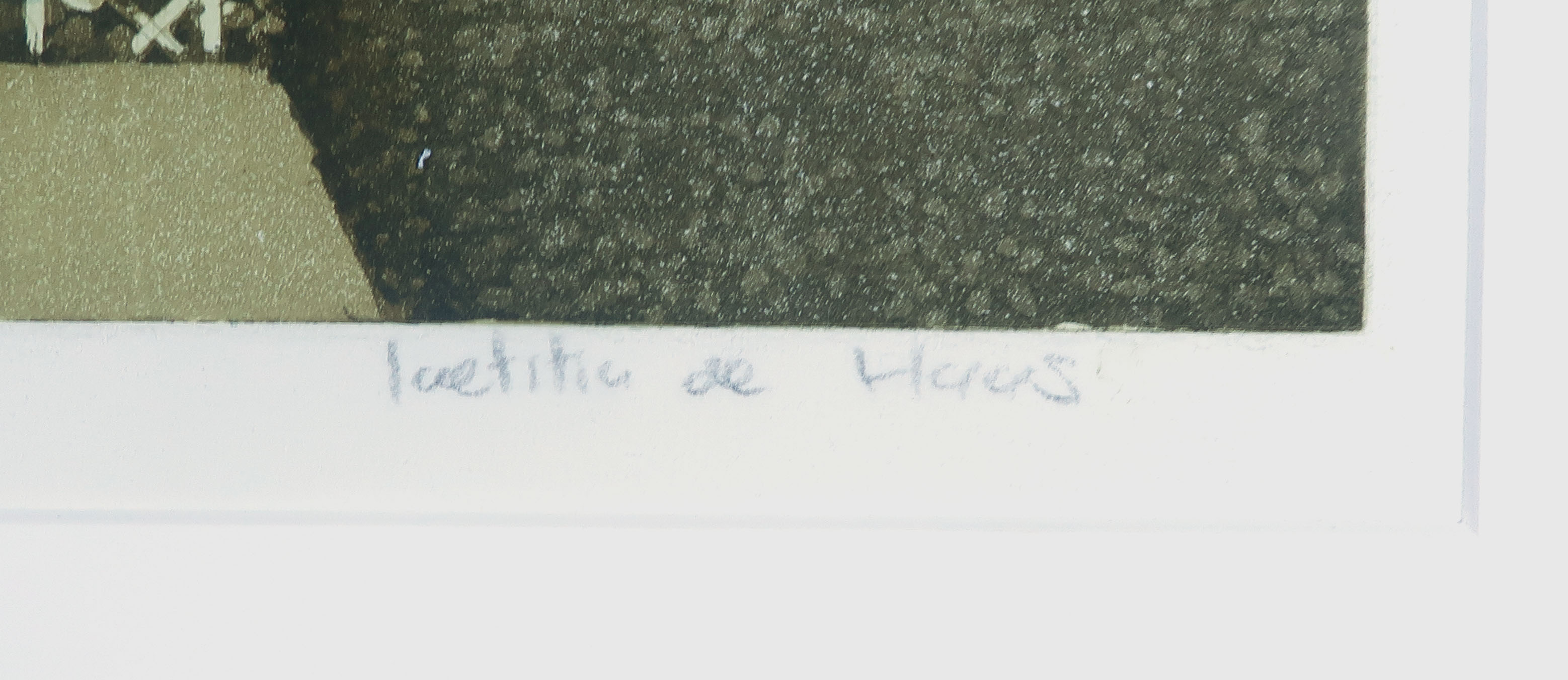 Laetitia de Haas - Ets en aquatint, Sussex kopen? Bied vanaf 20!