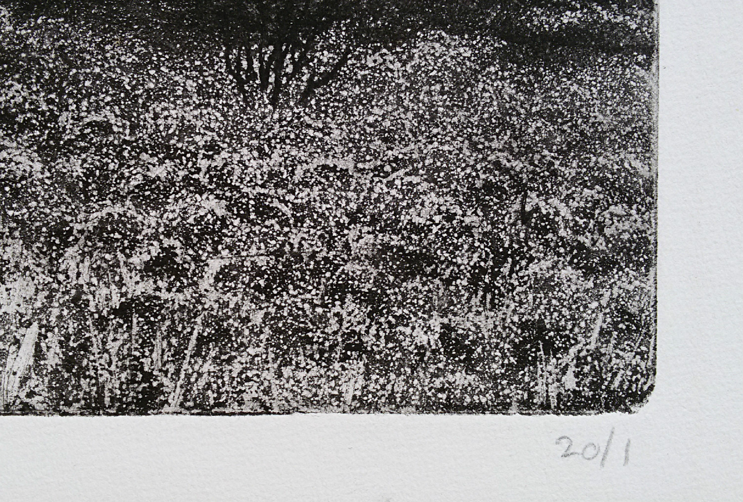 Paulien Wittenrood - Wolfheze IV (heide bij donker weer), ets kopen? Bied vanaf 30!