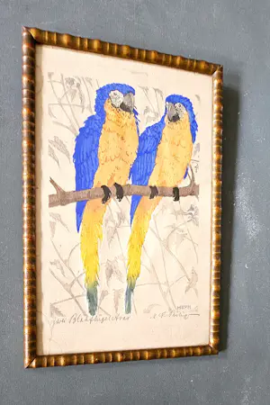 Martin Erich Philipp - "Twee blauwvleugelara's", kopen? Bied vanaf 285!