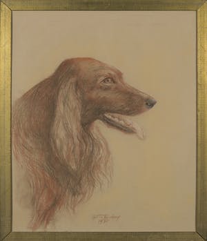 Martin Reisberg - Krijt op board, Portret van een hond - Ingelijst kopen? Bied vanaf 1!
