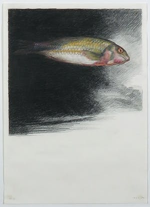 Philip Knipscheer - Pastelkrijt, Zonder titel - Ingelijst kopen? Bied vanaf 35!