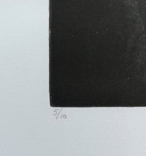 Rene Polak - Alpinist, aquatint ets (kleine oplage) kopen? Bied vanaf 50!