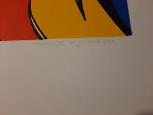 Maartje Wijngaarden - Zeefdruk, ZT kopen? Bied vanaf 35!