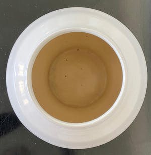 De Vier Paddestoelen - grote crèmekleurige vaas kopen? Bied vanaf 15!