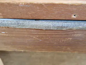 Nicole Grisard - Stilleven met fruit en vaas kopen? Bied vanaf 40!